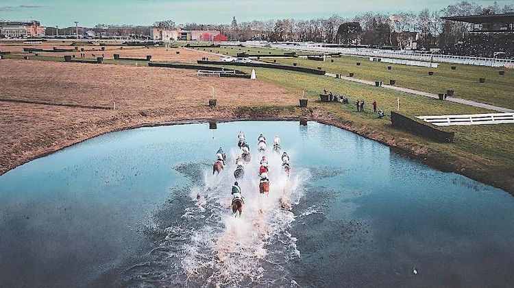 AU GALOP - Meeting d’hiver à l’hippodrome de Pau